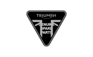 Battery, Triumph YTZ14S
